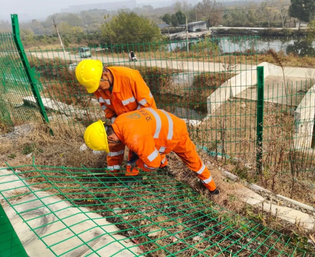 1734002529575994.jpg 12.jpg