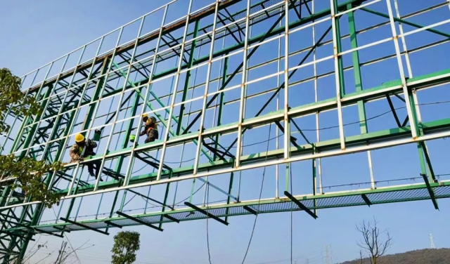 1734002697717786.jpg 24.jpg