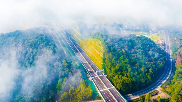 1735780291296988.jpg 03.jpg