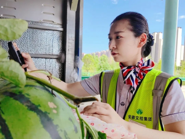 1751530796508230.jpg 02.jpg